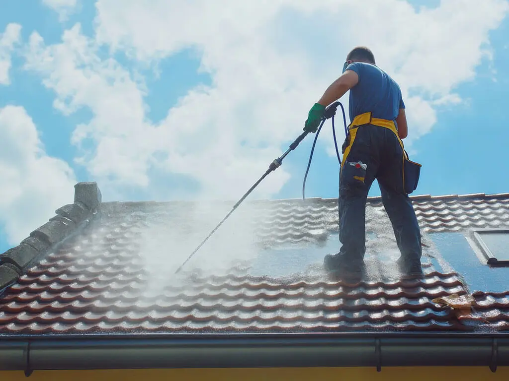 Nettoyage & Démoussage